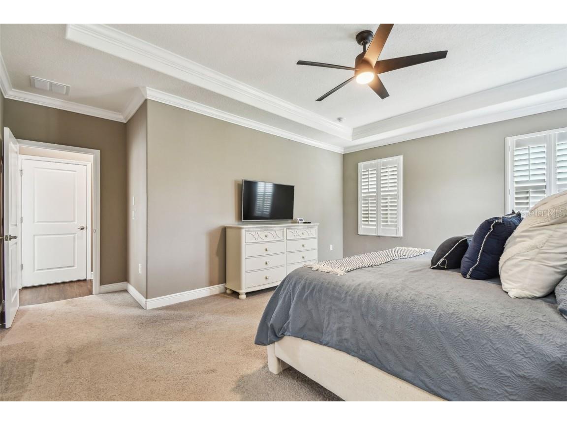 612 Ozona Village Dr Palm Harbor FL 34683 TB8380862 image39