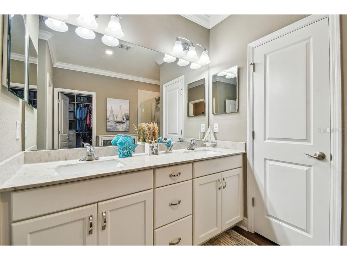 612 Ozona Village Dr Palm Harbor FL 34683 TB8380862 image41