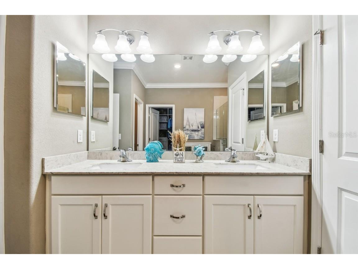 612 Ozona Village Dr Palm Harbor FL 34683 TB8380862 image42