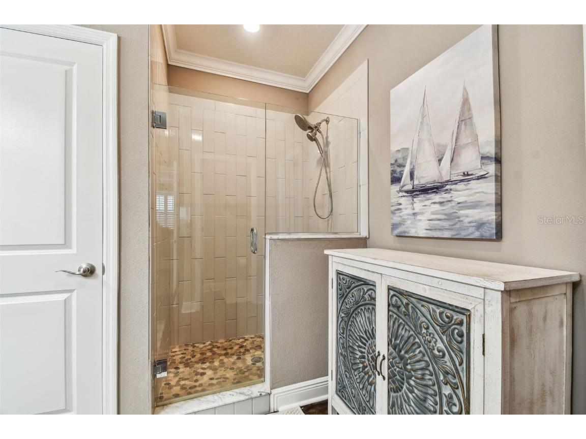 612 Ozona Village Dr Palm Harbor FL 34683 TB8380862 image43