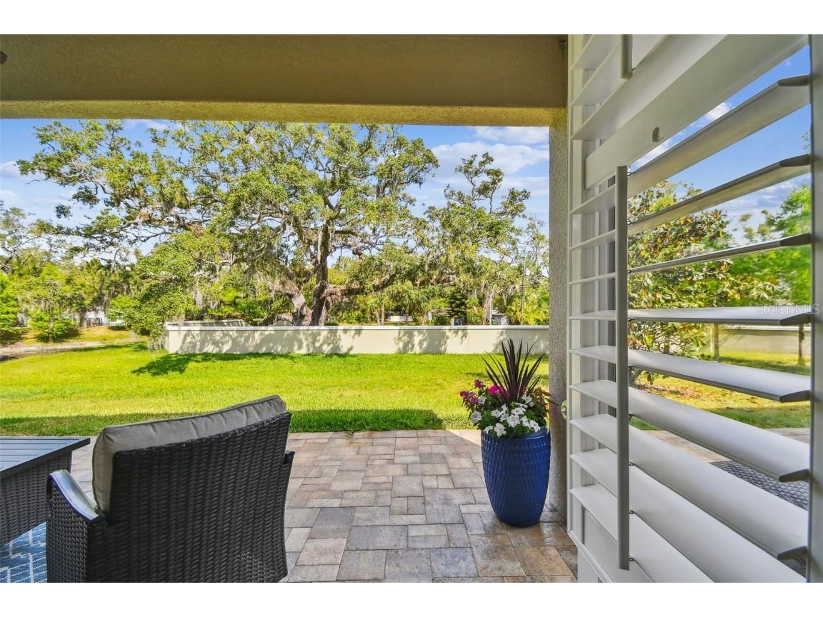 612 Ozona Village Dr Palm Harbor FL 34683 TB8380862 image47