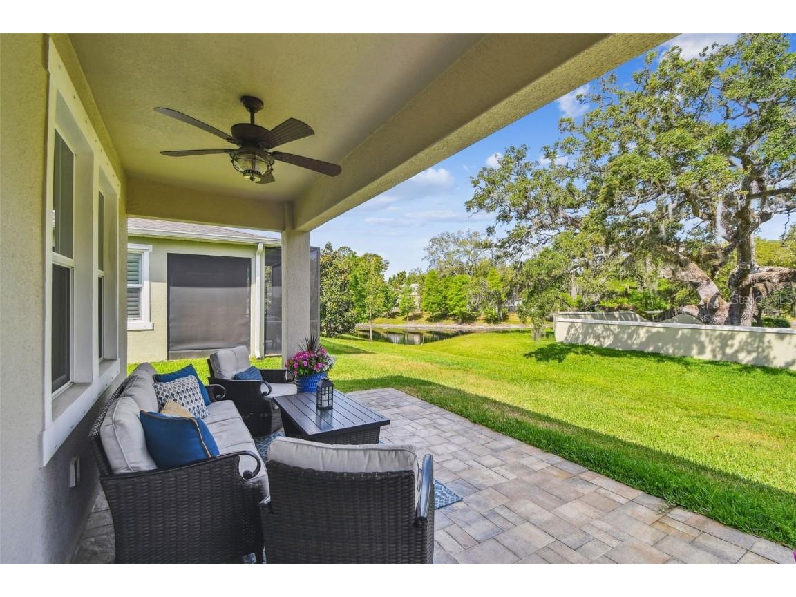 612 Ozona Village Dr Palm Harbor FL 34683 TB8380862 image48