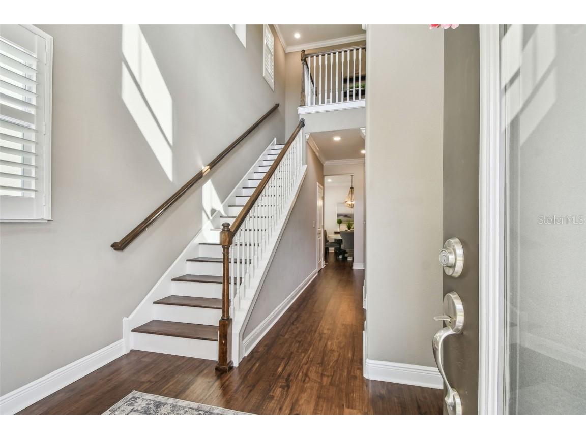 612 Ozona Village Dr Palm Harbor FL 34683 TB8380862 image5