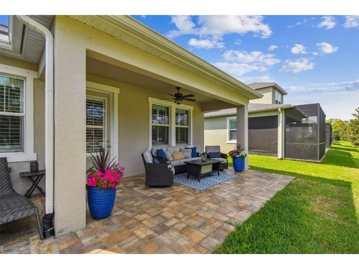 612 Ozona Village Dr Palm Harbor FL 34683 TB8380862 image51