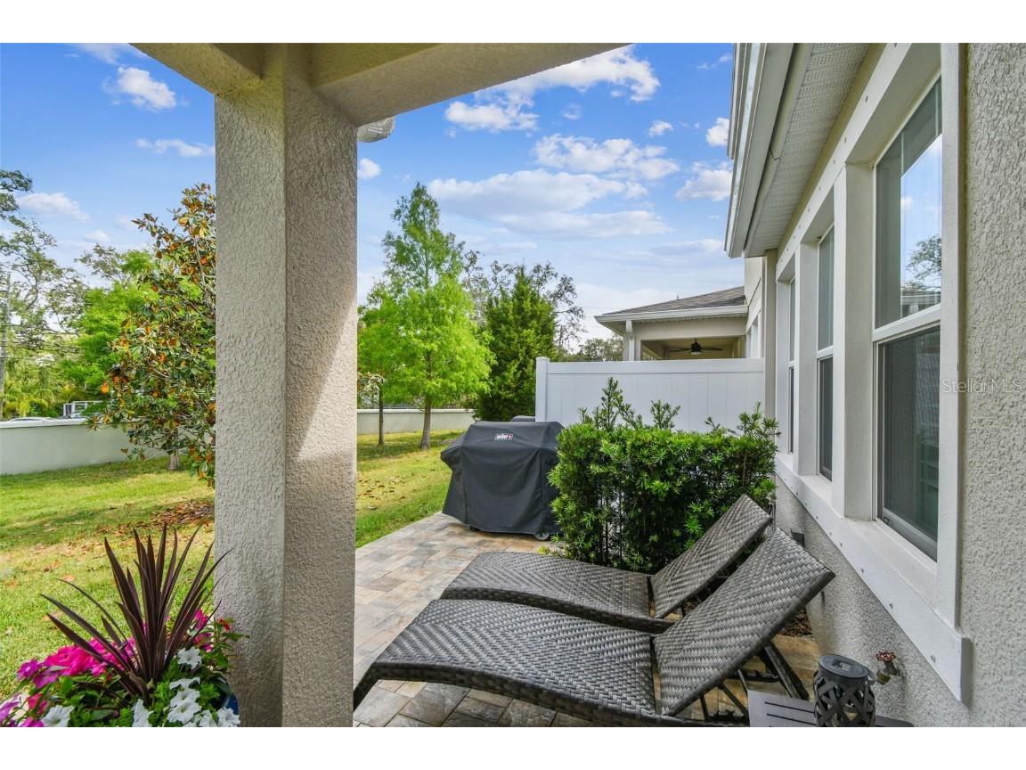 612 Ozona Village Dr Palm Harbor FL 34683 TB8380862 image52