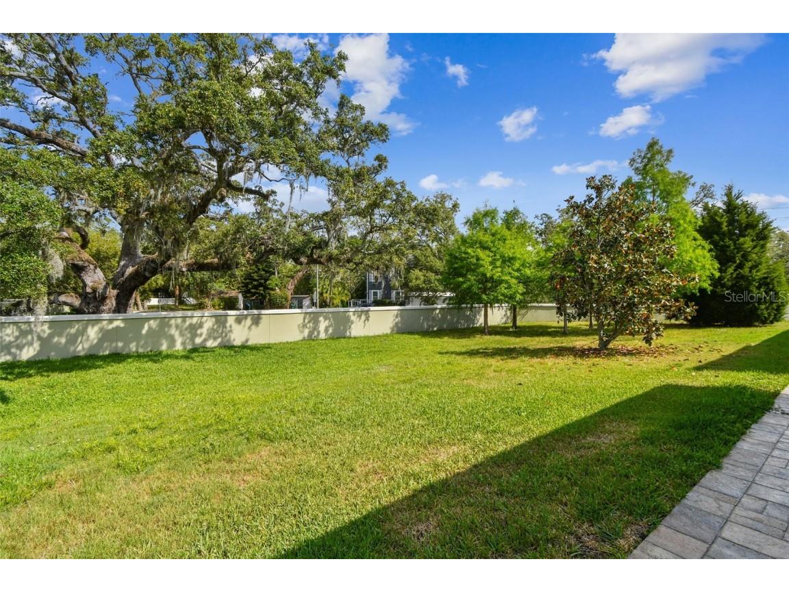 612 Ozona Village Dr Palm Harbor FL 34683 TB8380862 image54