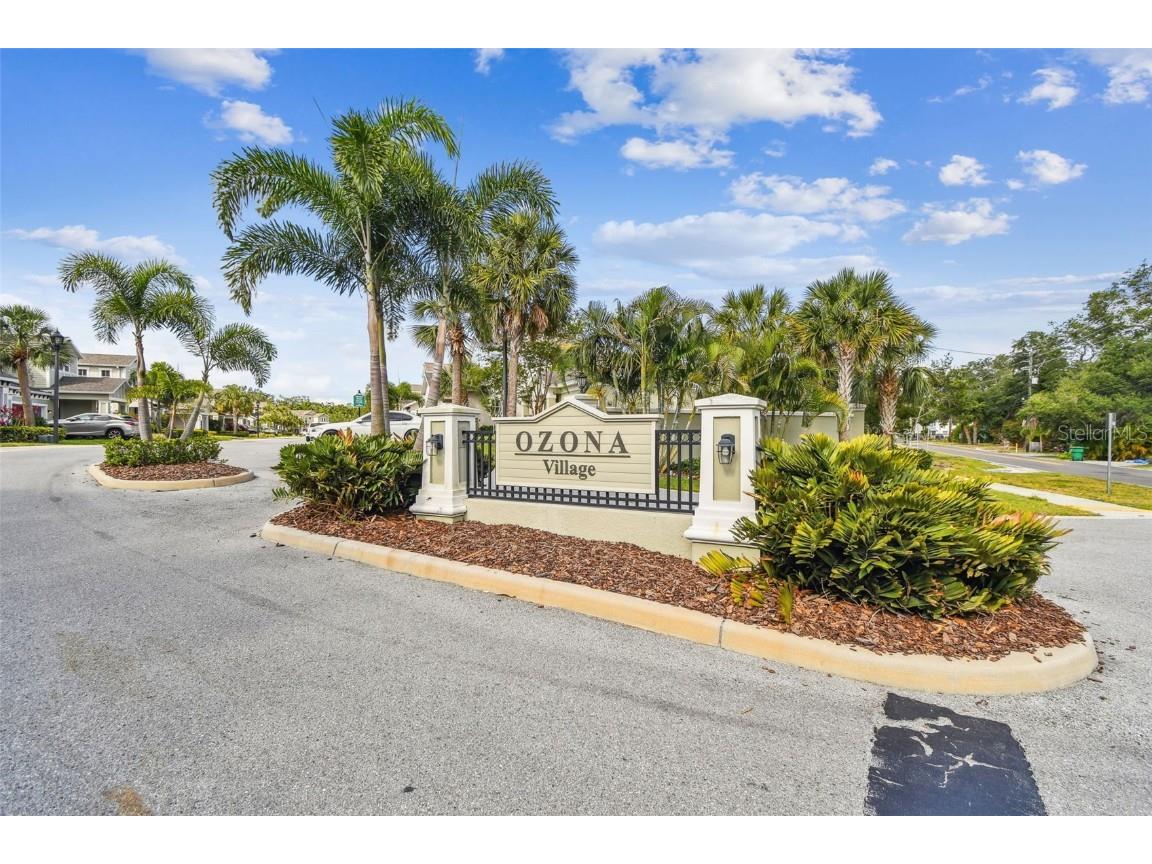 612 Ozona Village Dr Palm Harbor FL 34683 TB8380862 image57
