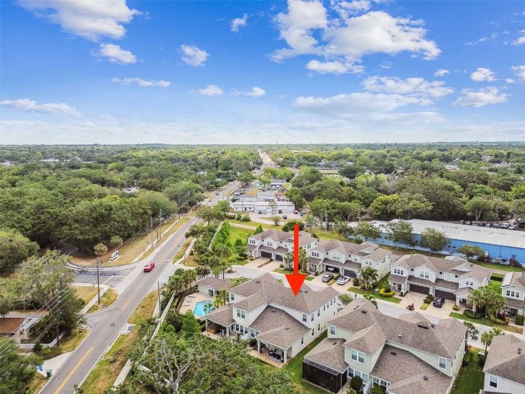 612 Ozona Village Dr Palm Harbor FL 34683 TB8380862 image63