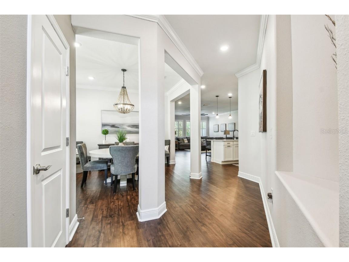 612 Ozona Village Dr Palm Harbor FL 34683 TB8380862 image9