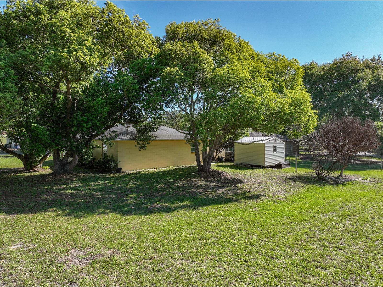 612 Palmetto Drive Mascotte FL 34753 G5111186 image44