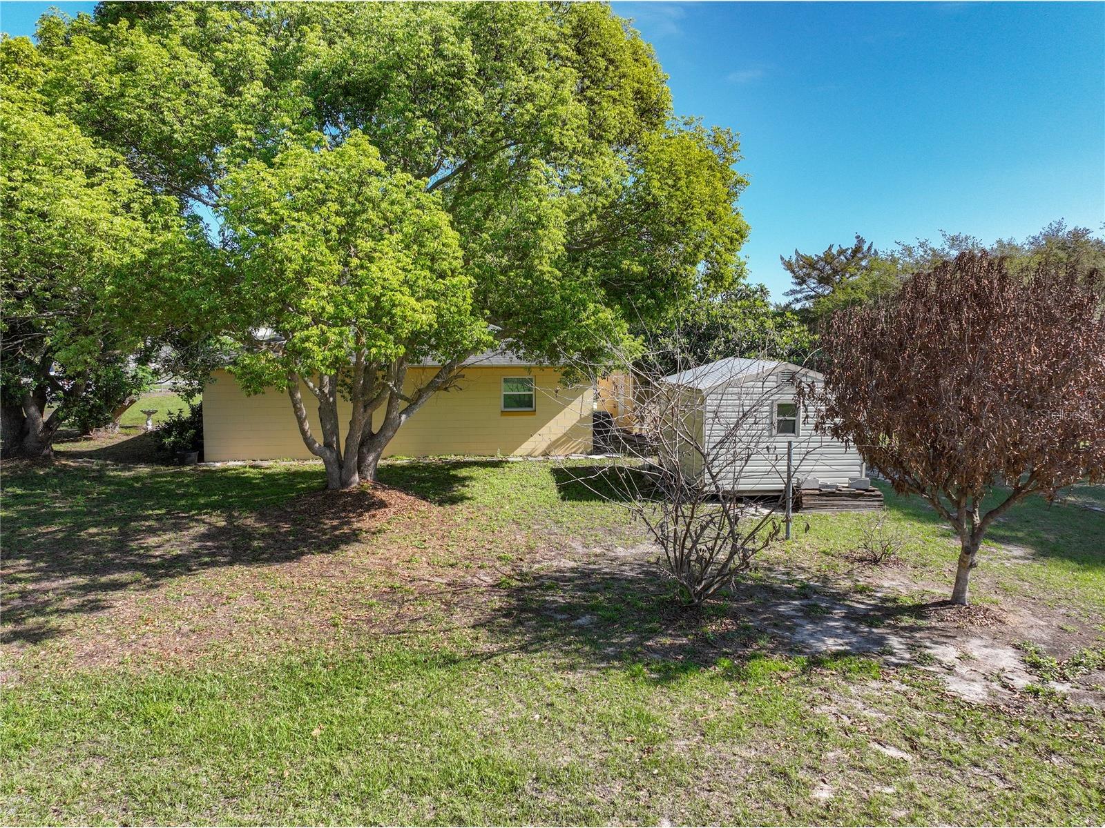 612 Palmetto Drive Mascotte FL 34753 G5111186 image46