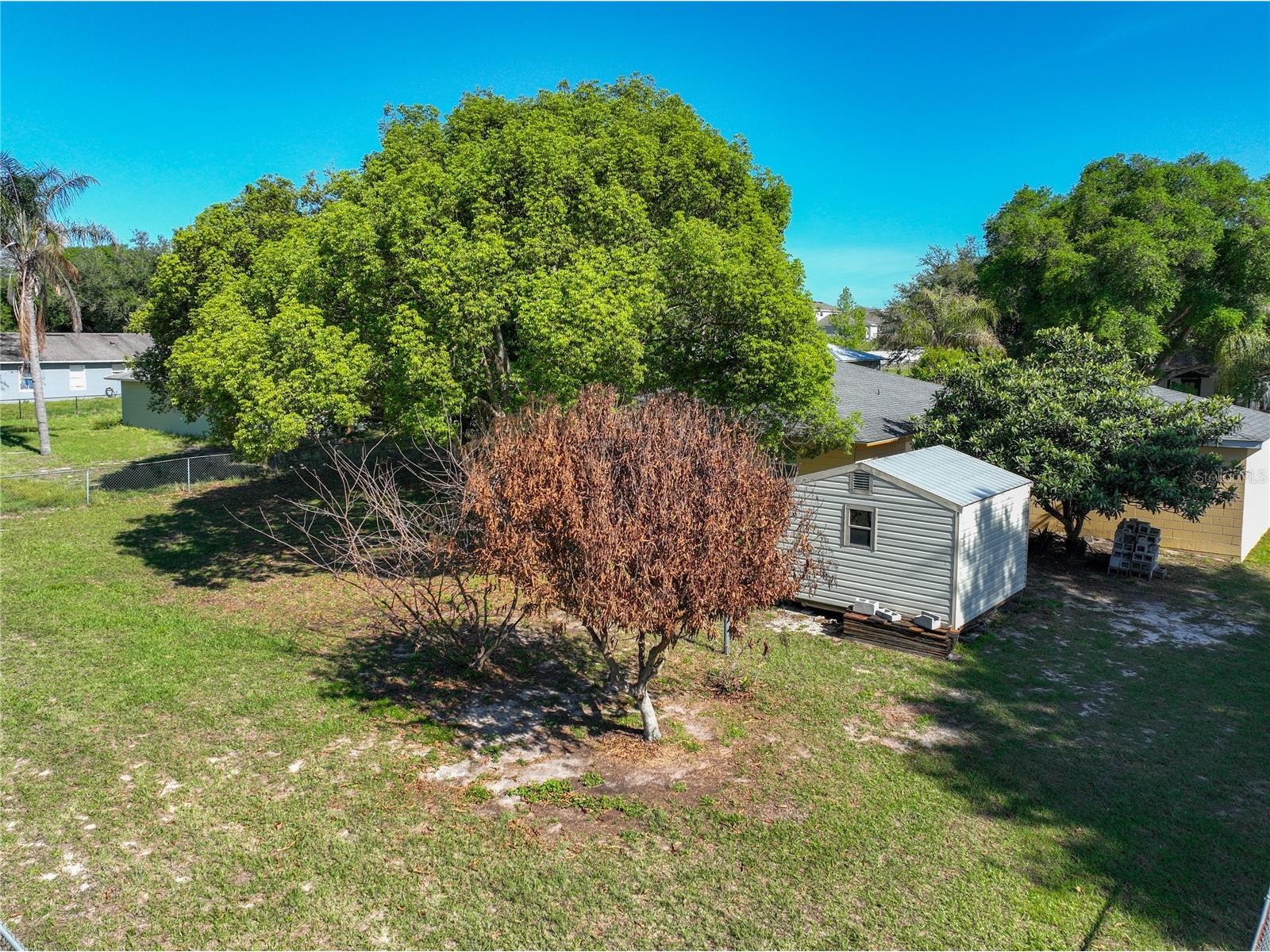 612 Palmetto Drive Mascotte FL 34753 G5111186 image47