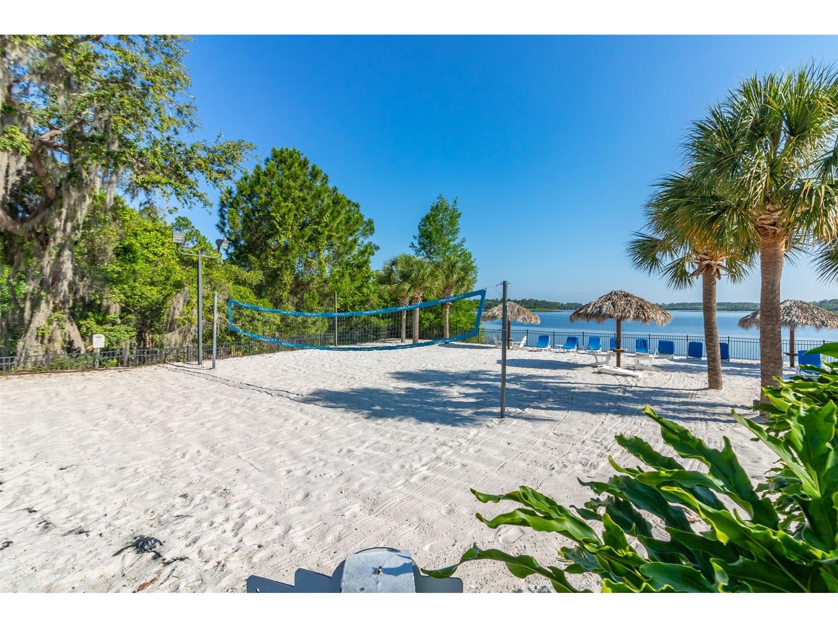 612 Rum Run #612 Davenport FL 33897 S5138719 image51