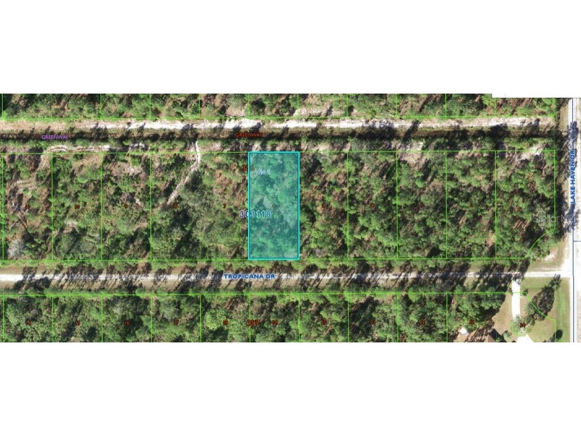 612 Tropicana Drive Indian Lake Estates FL 33855 O6312599 image1