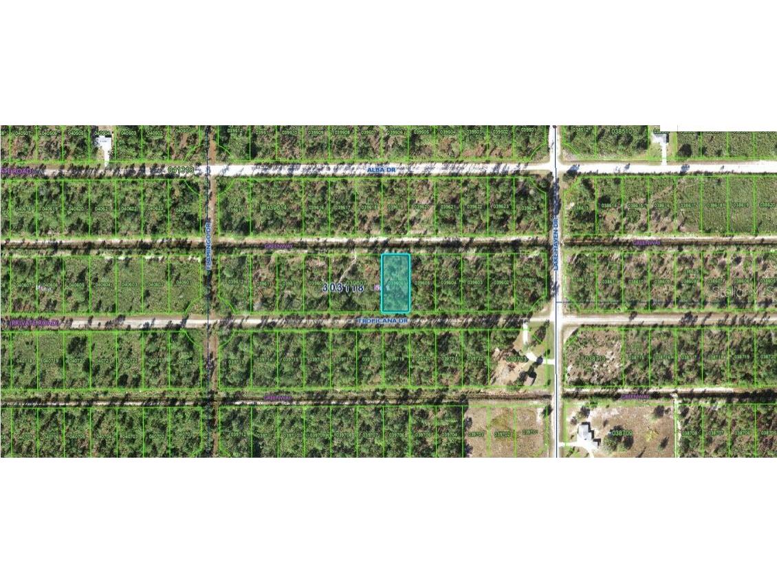 612 Tropicana Drive Indian Lake Estates FL 33855 O6312599 image4