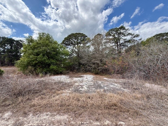 612 Twilight Dr Lot 31 Lake Placid FL 33852 O6387202 image4