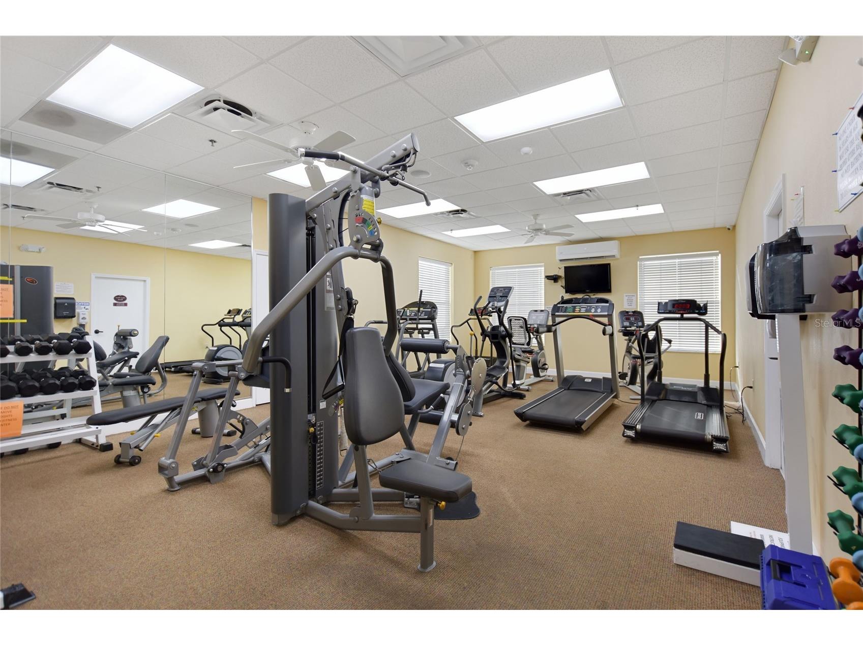 612 Vista Oaks Way Davenport FL 33837 - HORSE CREEK BEHIND PROPERTY LINE S5146853 image59