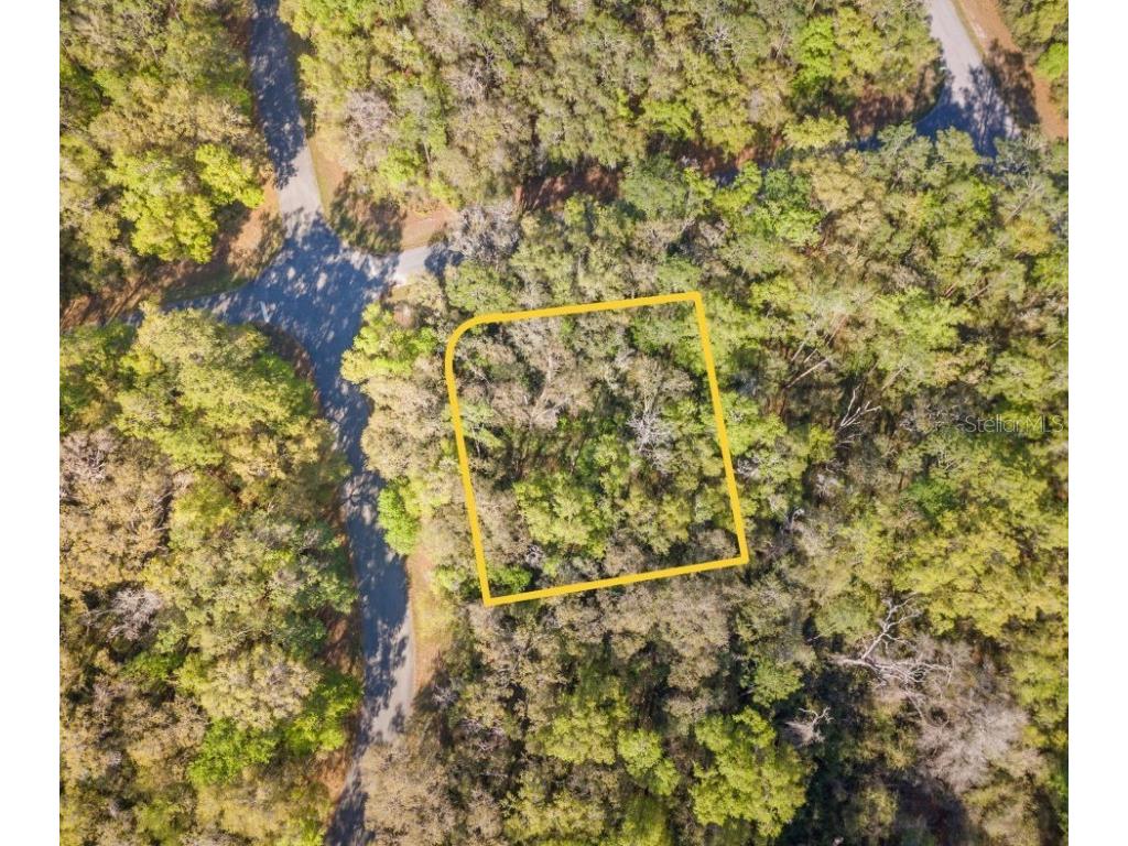 612 W Virginis Drive Citrus Springs FL 34434 TB8363494 image1