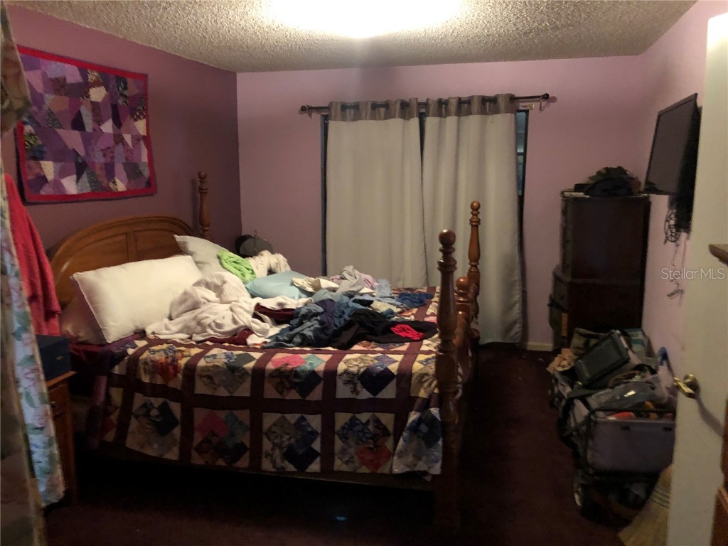 6120 Beechwood Drive Dade City FL 33523 TB8454564 image8