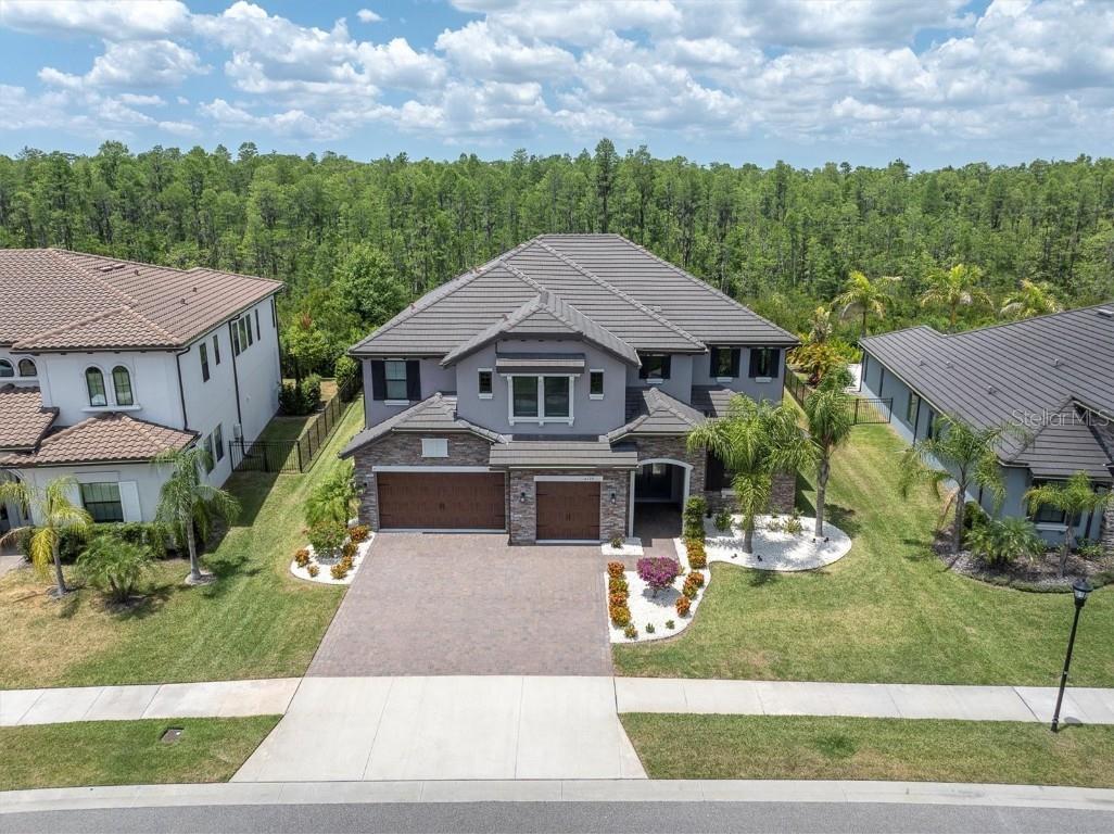 6120 Marsh Trail Drive Odessa FL 33556 W7869343 image1