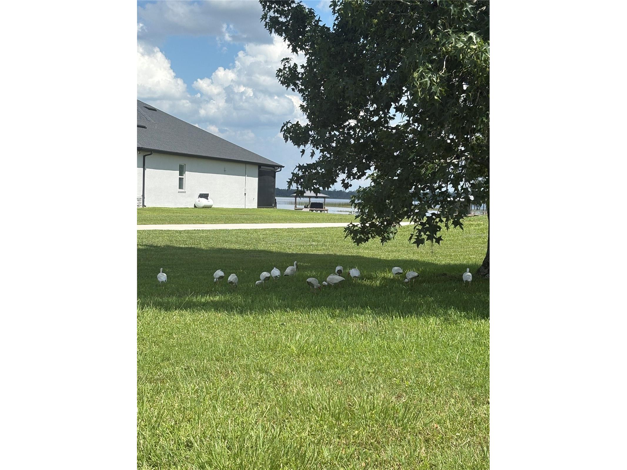 6120 Waterfield Way Saint Cloud FL 34771 O6414528 image21