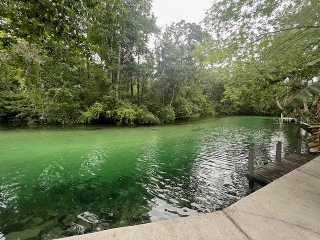 6120 Waverly Road Weeki Wachee FL 34607 - WEEKI WACHEE RIVER TB8466376 image1