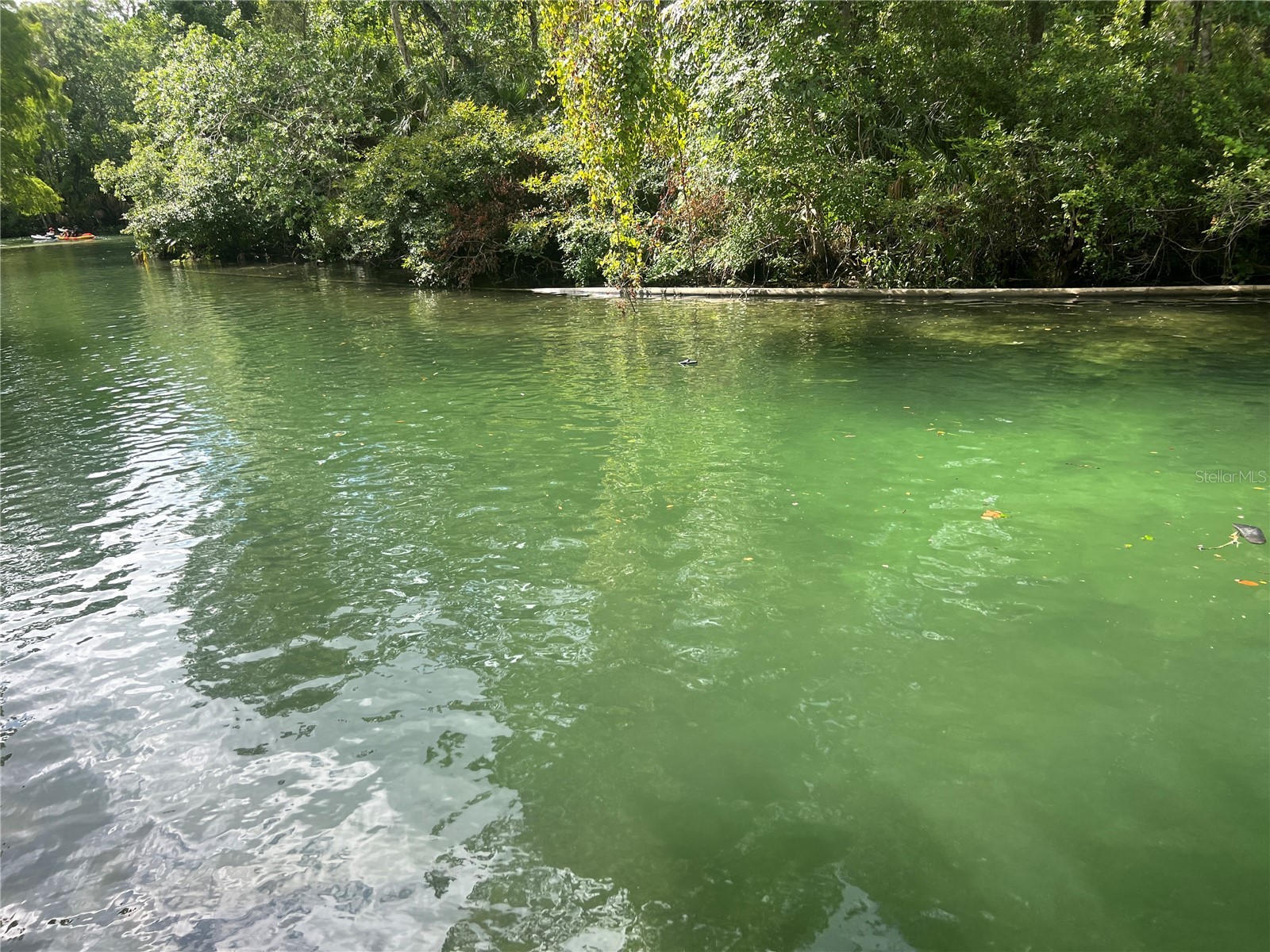 6120 Waverly Road Weeki Wachee FL 34607 - WEEKI WACHEE RIVER TB8466376 image3