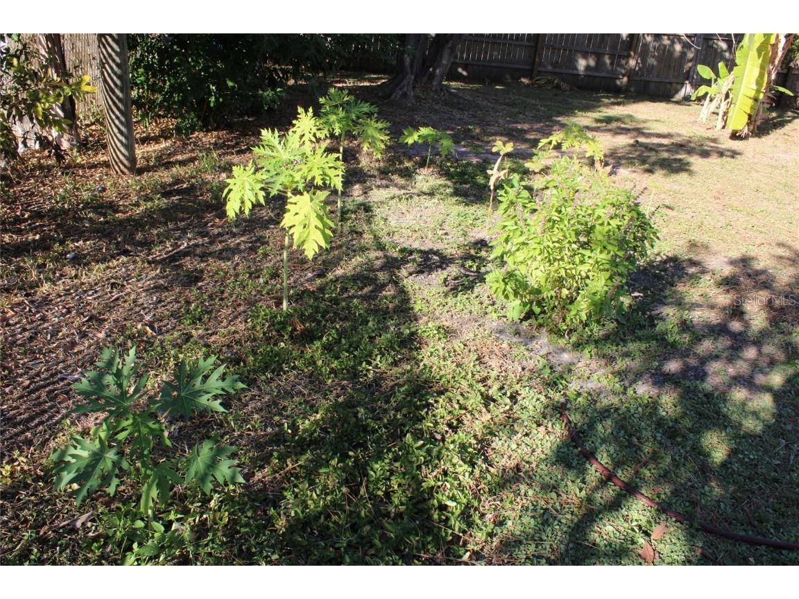 6121 56th Avenue N Saint Petersburg FL 33709 TB8457169 image10