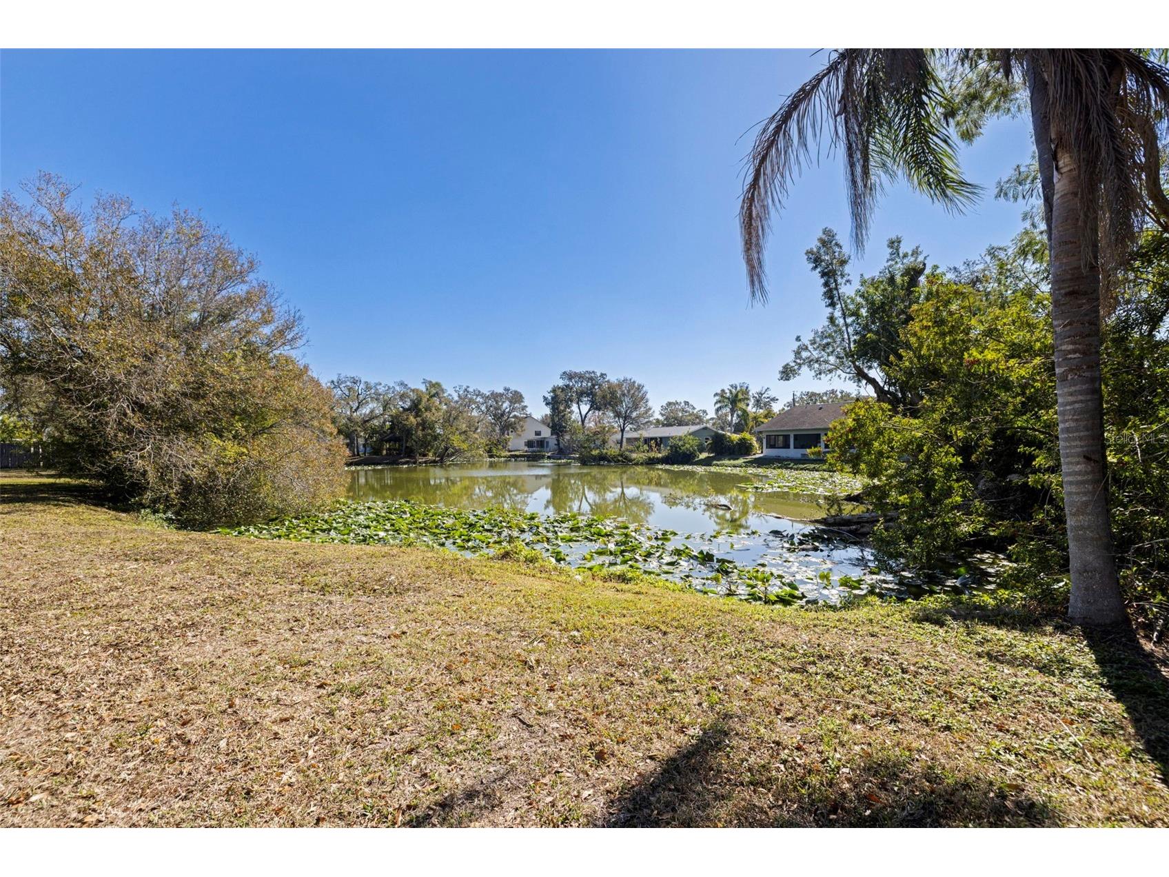 6121 58th Street N Saint Petersburg FL 33709 TB8471440 image51