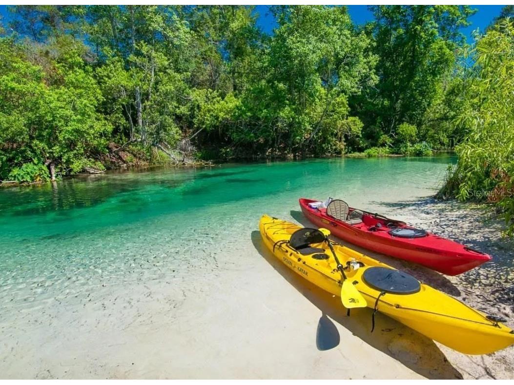 6121 Waters Way Weeki Wachee FL 34607 - WEEKI WACHEE RIVER T3465680 image1