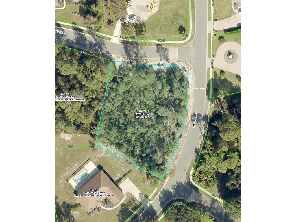 6121 Waters Way Weeki Wachee FL 34607 TB8392498 image1