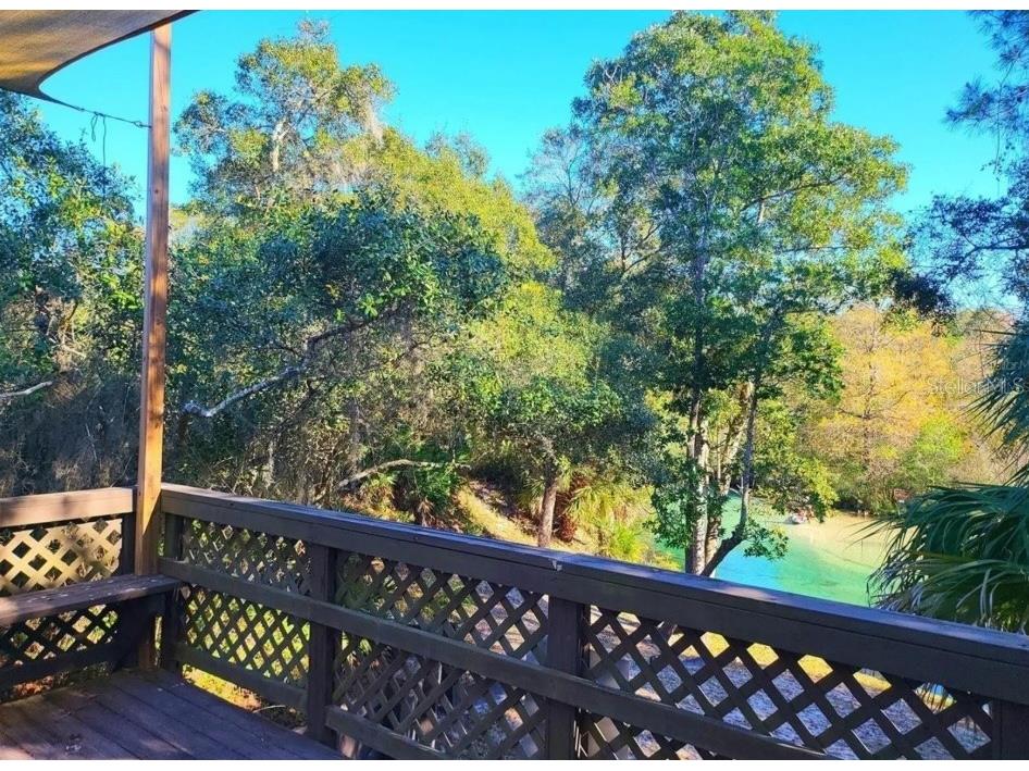 6121 Waters Way Weeki Wachee FL 34607 TB8392498 image4