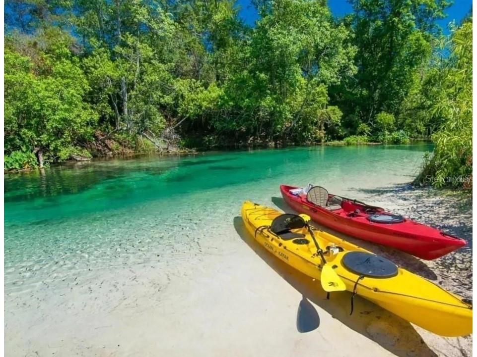 6121 Waters Way Weeki Wachee FL 34607 TB8392498 image6