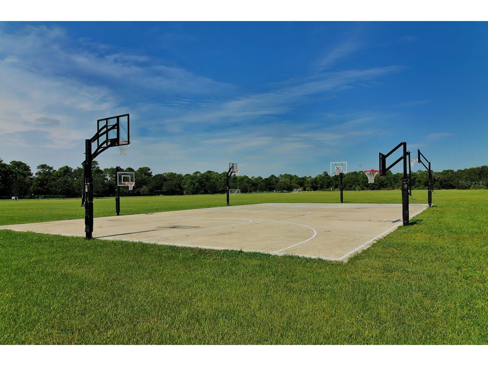 6122 Blue Runner Court Lakewood Ranch FL 34202 - LAKE UIGLEIN A4686699 image41