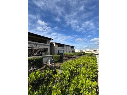 6122 Curry Ford Road #241 Orlando FL 32822 O6405411 image19