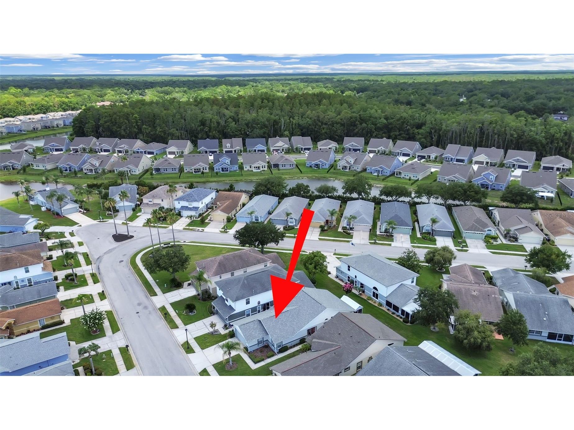 6122 Gentle Ben Circle Wesley Chapel FL 33544 R4911512 image41