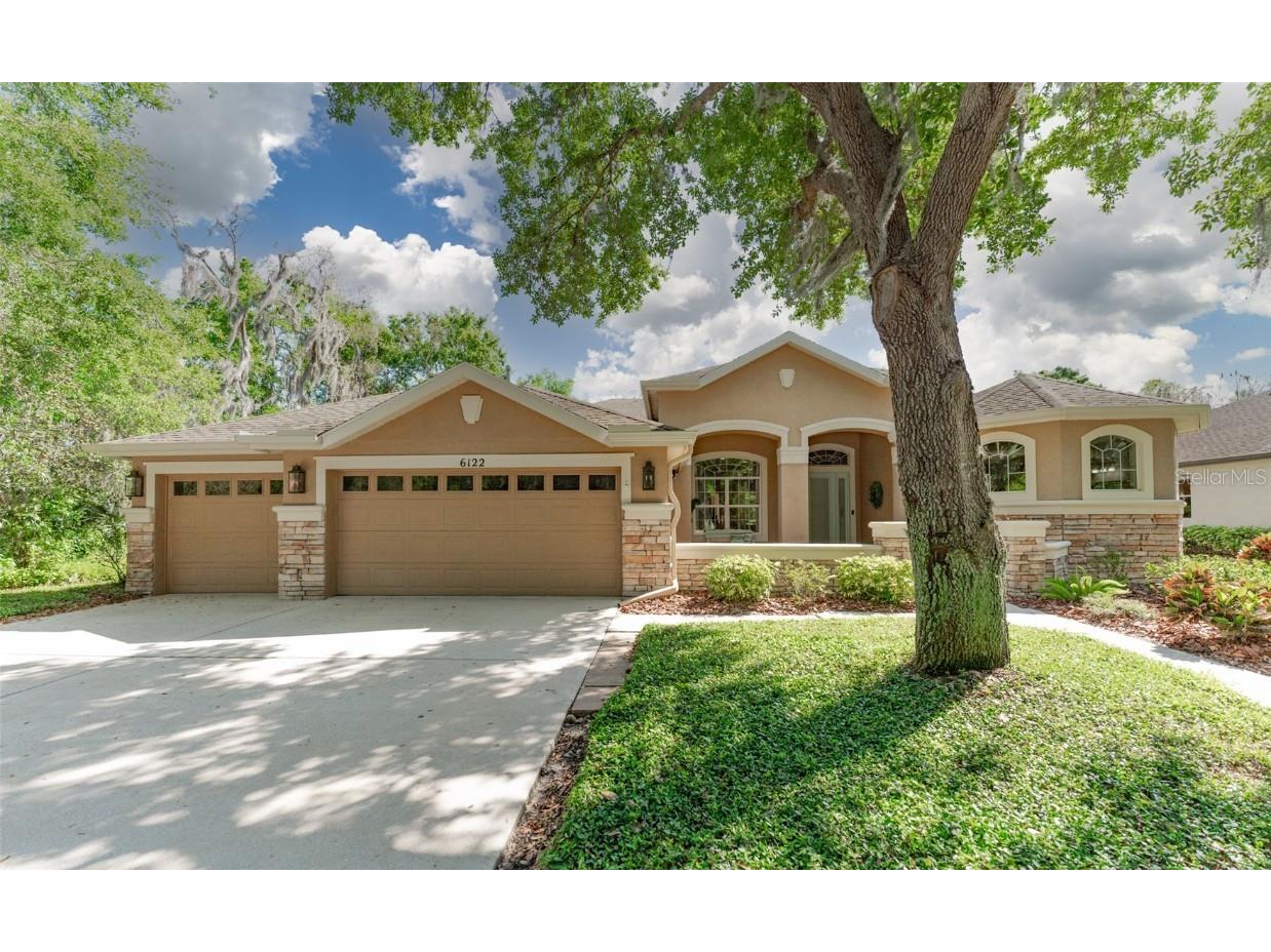 6122 Ibispark Drive Lithia FL 33547 T3437241 image1