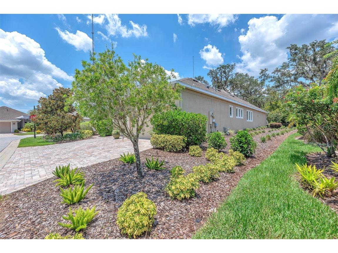 6122 Watercolor Dr Lithia FL 33547 TB8413172 image10