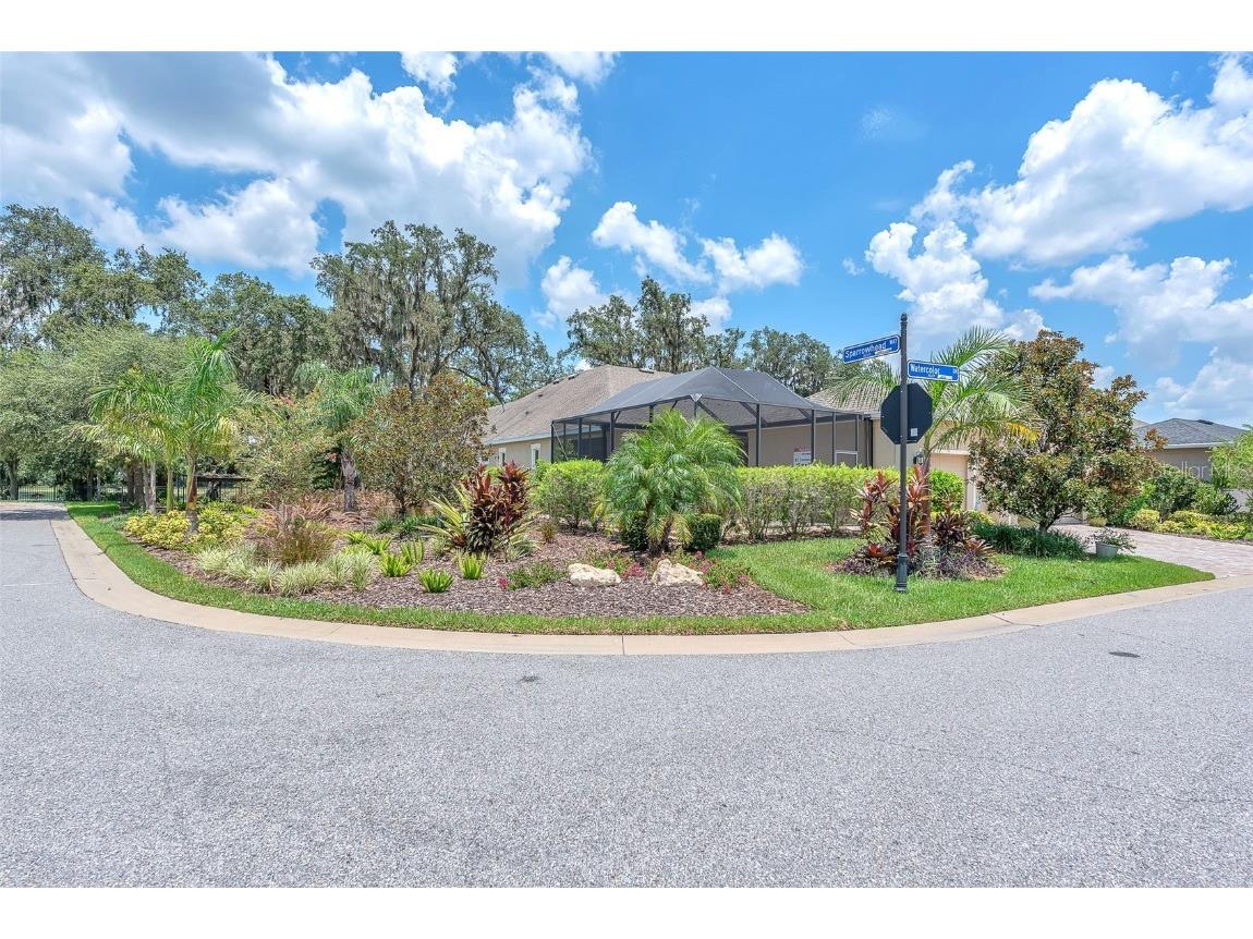 6122 Watercolor Dr Lithia FL 33547 TB8413172 image12