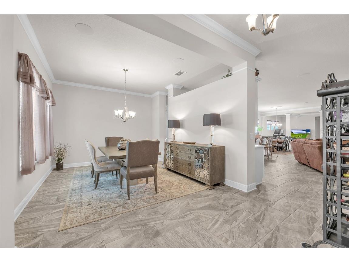 6122 Watercolor Dr Lithia FL 33547 TB8413172 image16