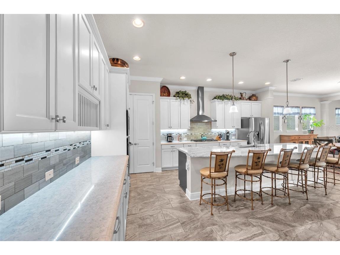 6122 Watercolor Dr Lithia FL 33547 TB8413172 image29