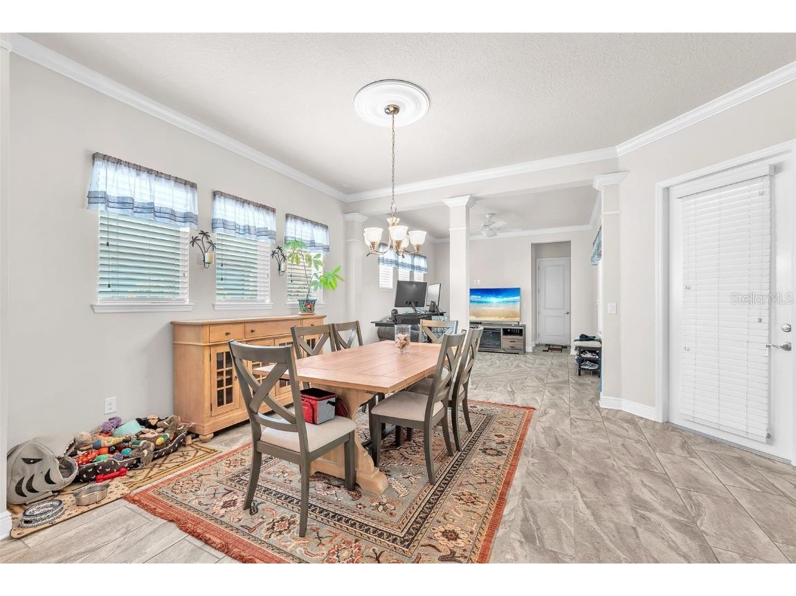 6122 Watercolor Dr Lithia FL 33547 TB8413172 image30