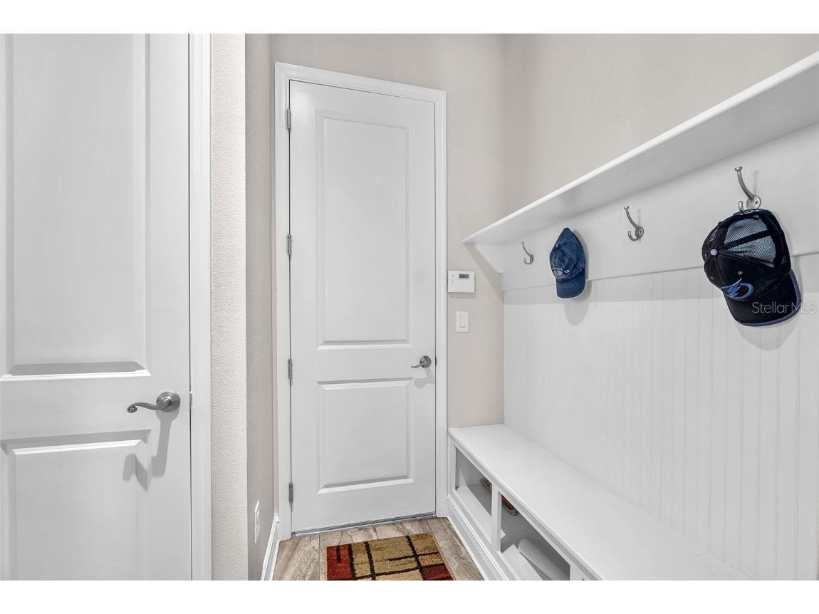 6122 Watercolor Dr Lithia FL 33547 TB8413172 image34