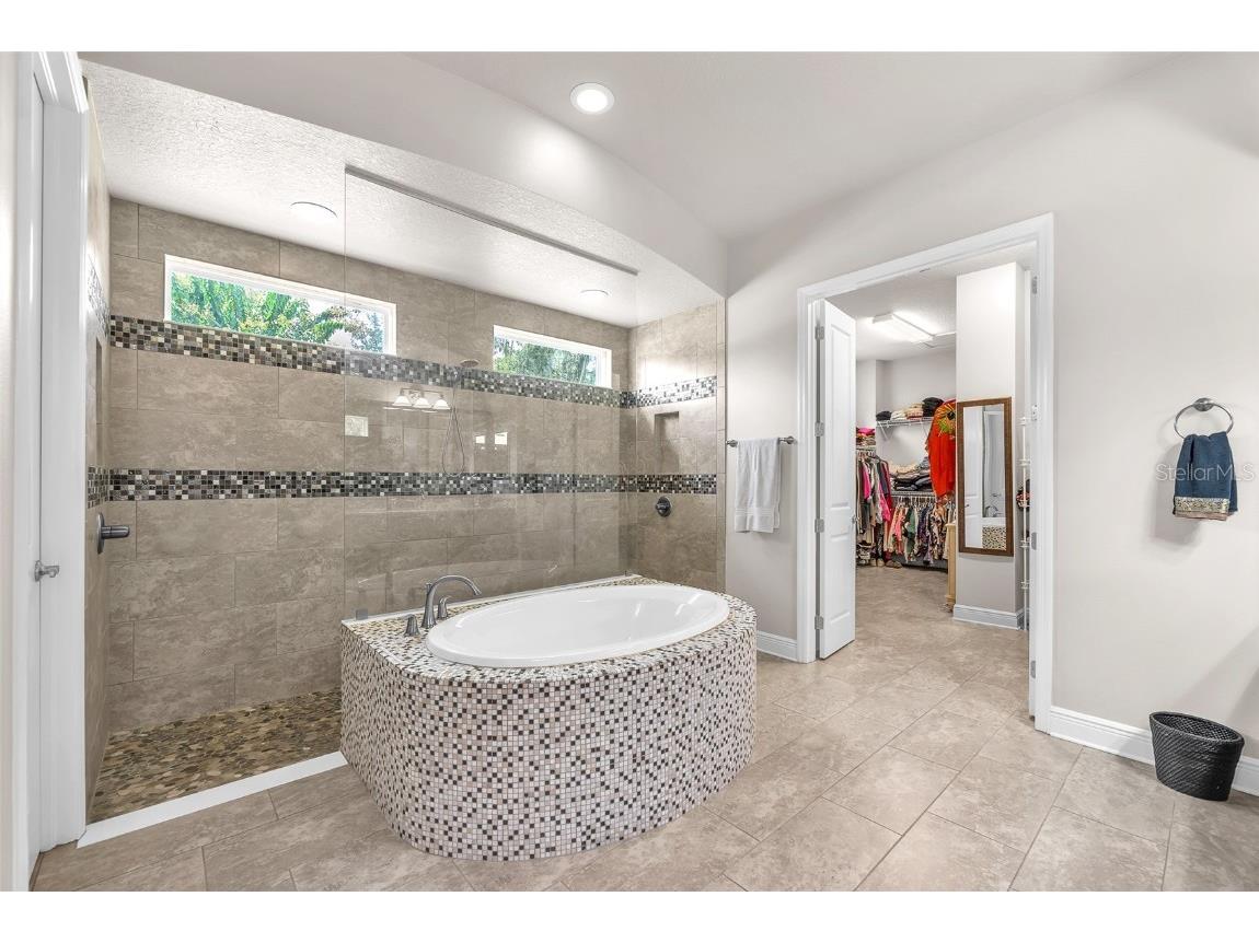 6122 Watercolor Dr Lithia FL 33547 TB8413172 image38