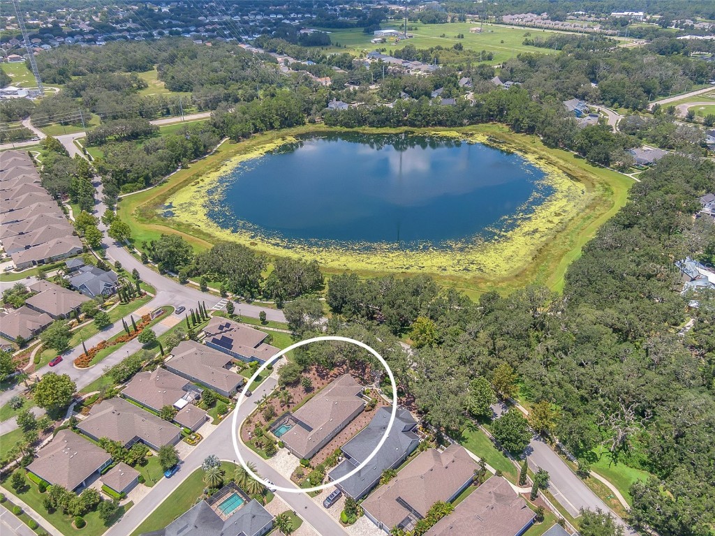 6122 Watercolor Dr Lithia FL 33547 TB8413172 image54