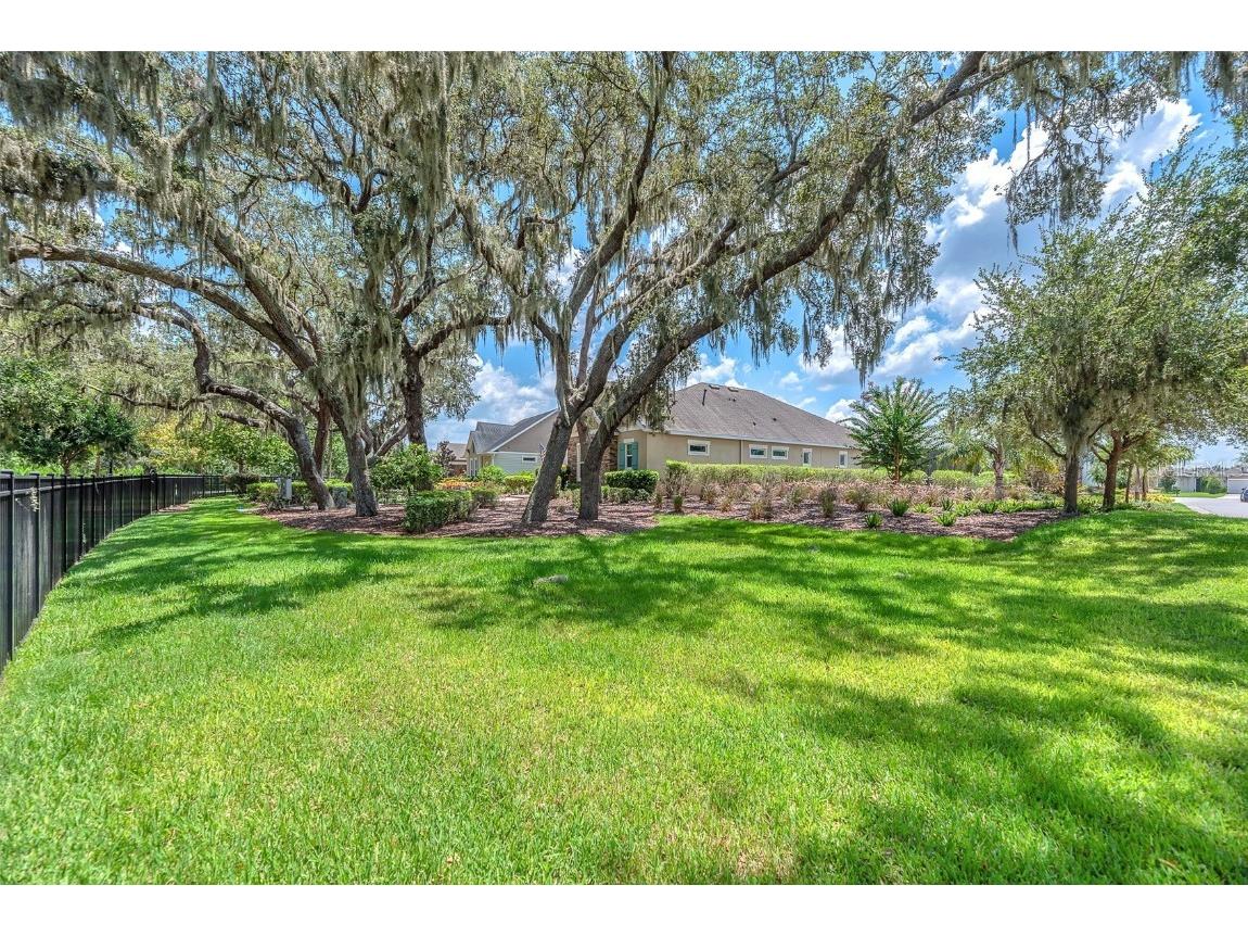 6122 Watercolor Dr Lithia FL 33547 TB8413172 image6