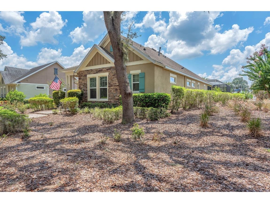 6122 Watercolor Dr Lithia FL 33547 TB8413172 image7