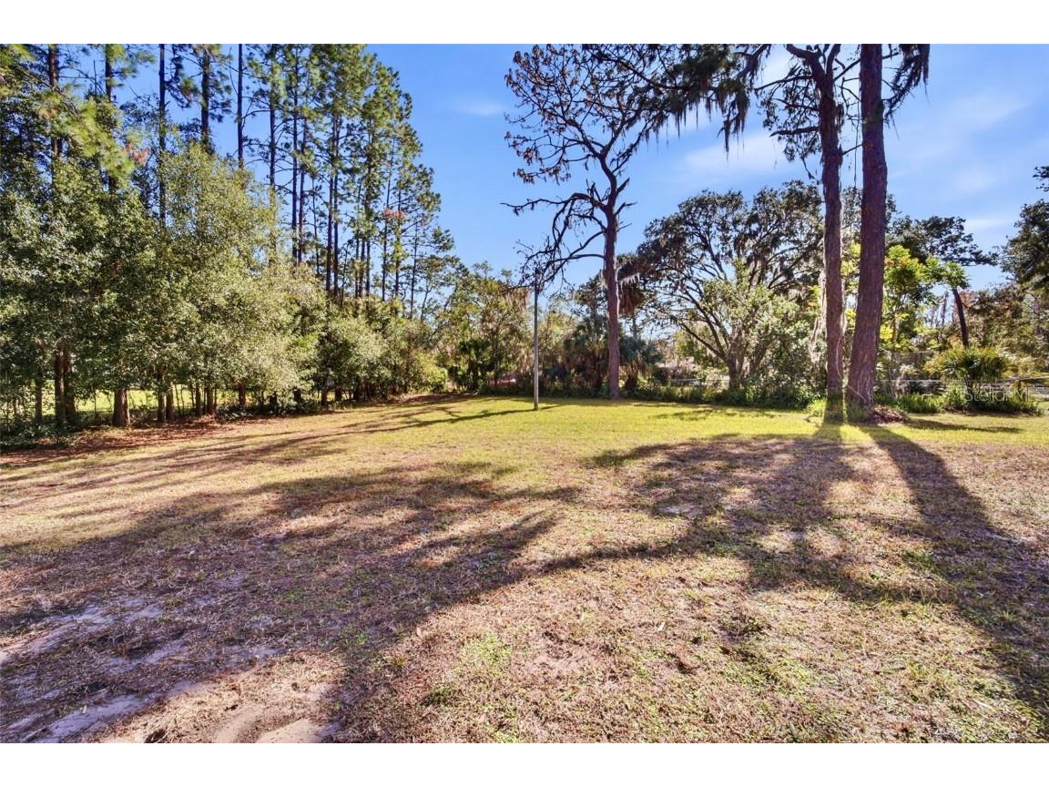 6122 Wisteria Loop Land O Lakes FL 34638 TB8456746 image51