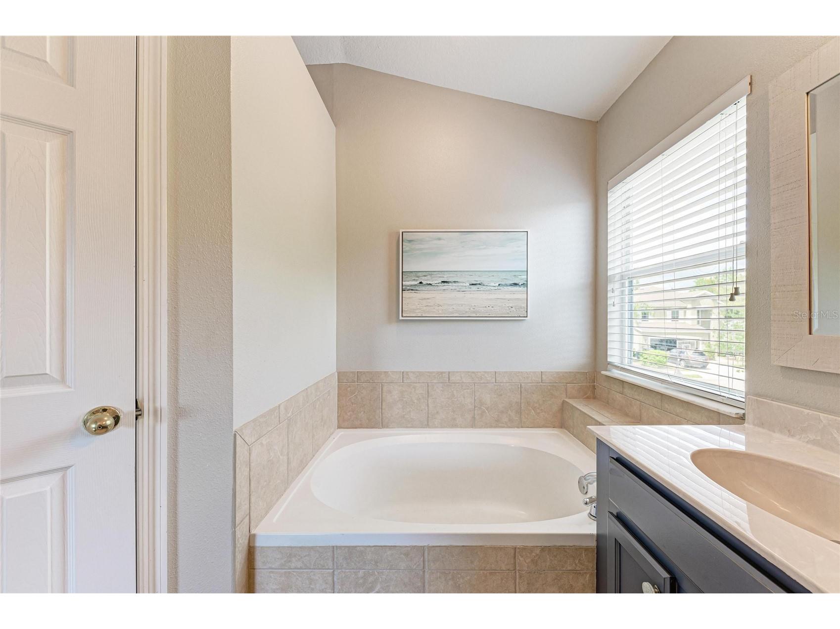 6123 Blue Runner Court Lakewood Ranch FL 34202 A4688922 image27