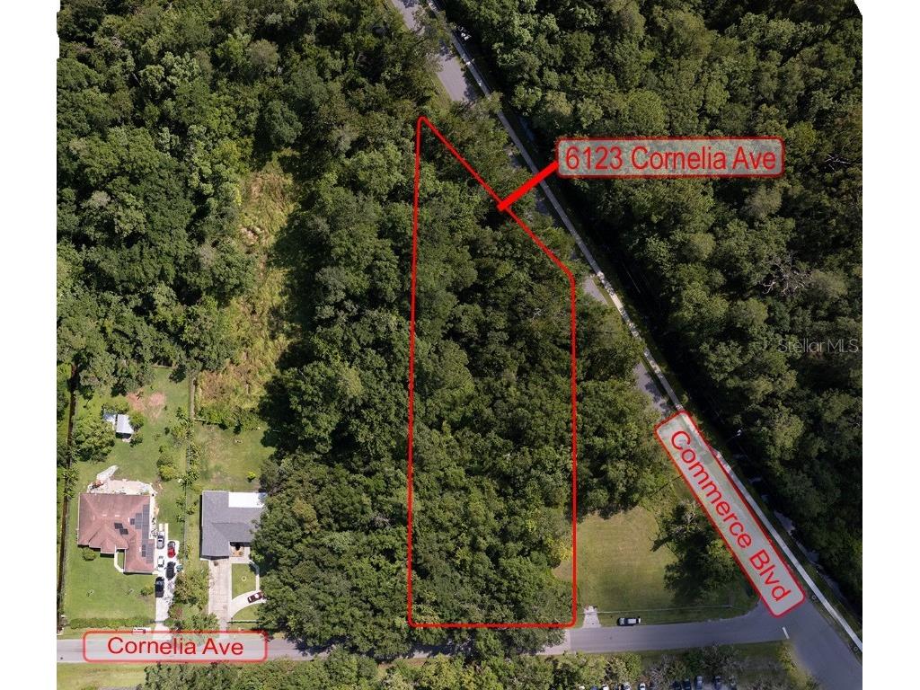 6123 Cornelia Avenue Orlando FL 32807 J969746 image1